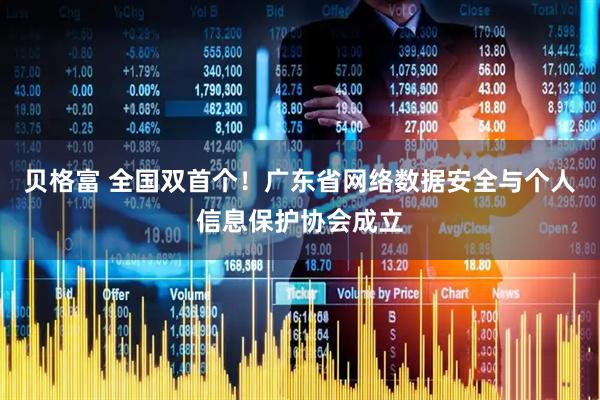 贝格富 全国双首个！广东省网络数据安全与个人信息保护协会成立