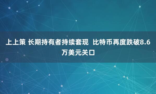 上上策 长期持有者持续套现  比特币再度跌破8.6万美元关口