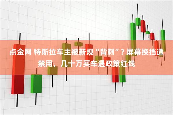 点金网 特斯拉车主被新规“背刺”? 屏幕换挡遭禁用，几十万买车遇政策红线